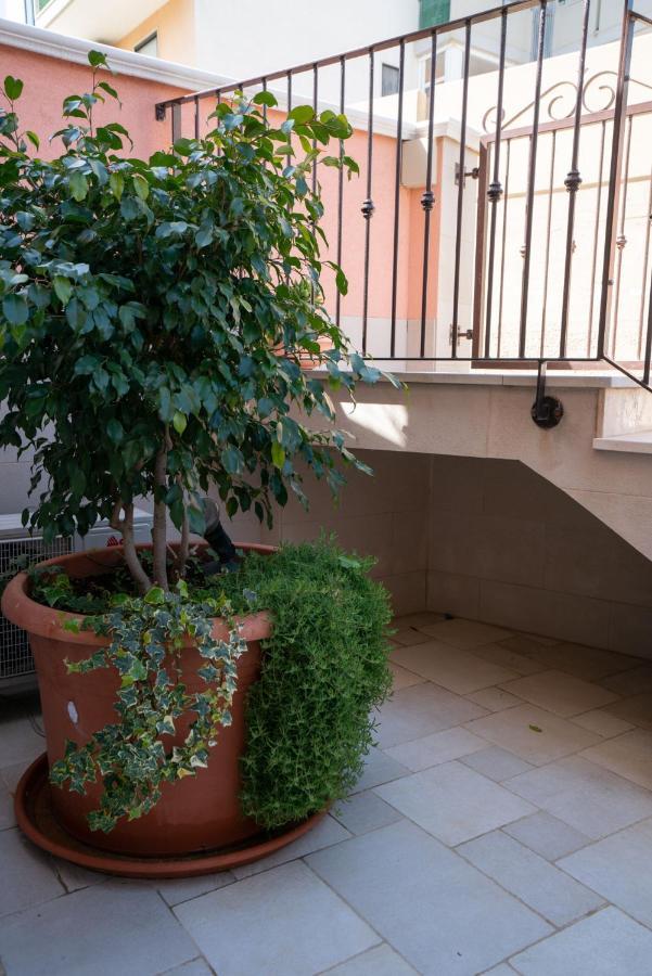 La Casetta Di Chiara B&B 滨海波利尼亚诺 外观 照片