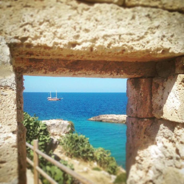 La Casetta Di Chiara B&B 滨海波利尼亚诺 外观 照片